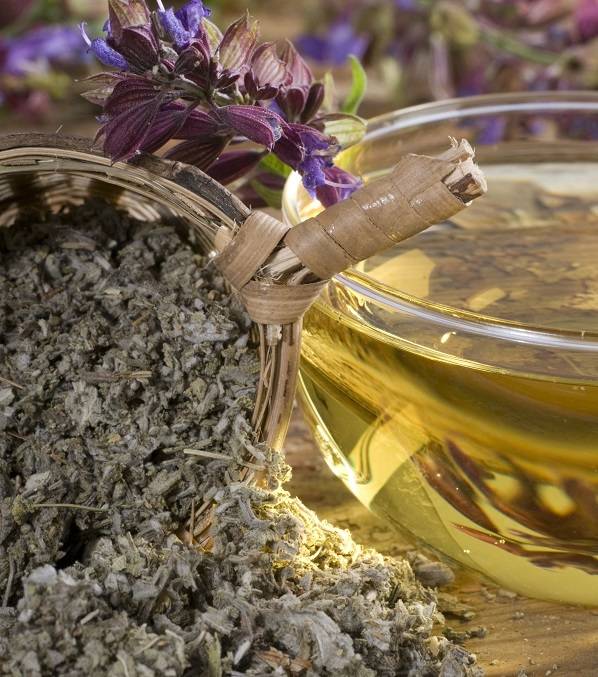 Насколько полезен чай из шалфея?