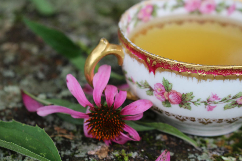 Как приготовить домашний чай с эхинацеей?