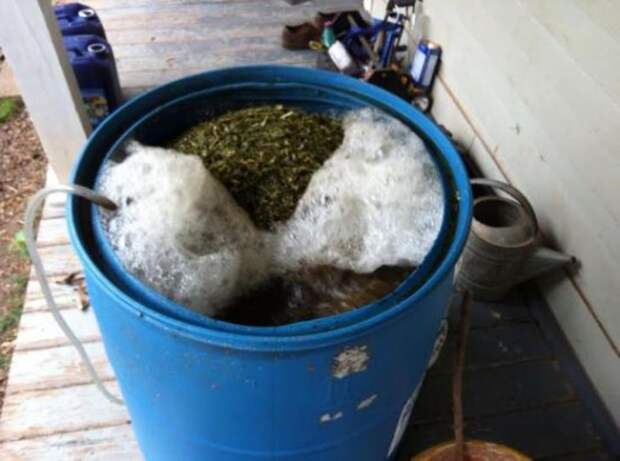 Что такое компостный чай?