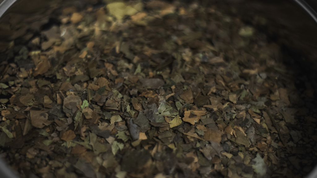 Как заварить народный южноамериканский чай Гуаюса?