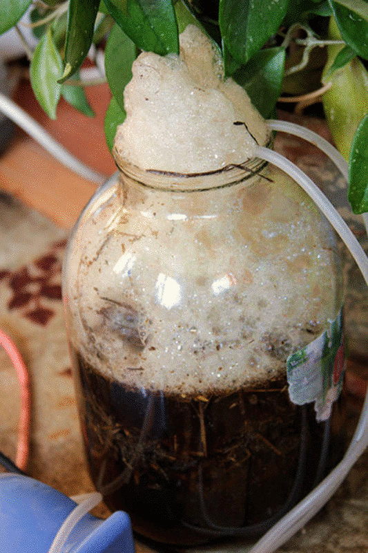 Что такое компостный чай?