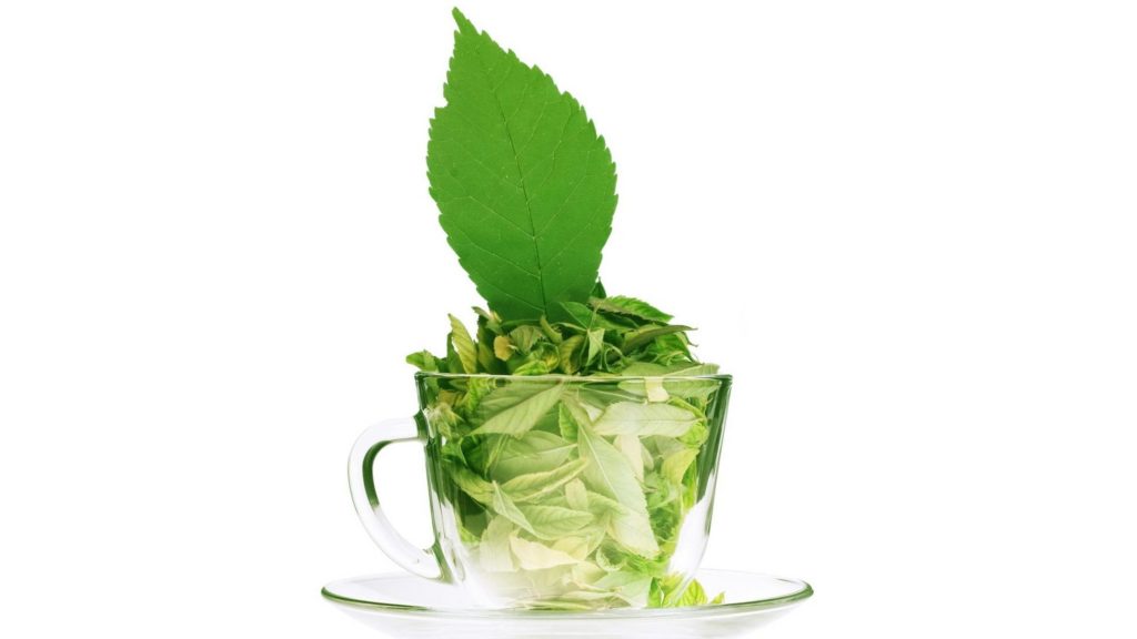 Как заварить вкусный зеленый чай?