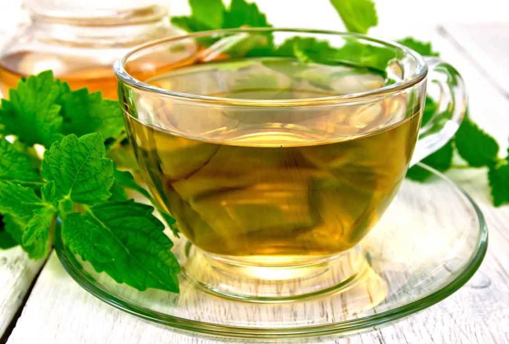 Как приготовить чай с Мелиссой?