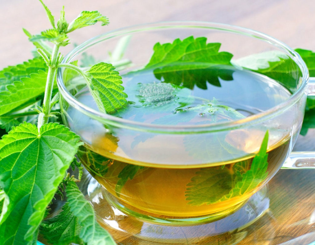 Чем полезен чай с крапивой?