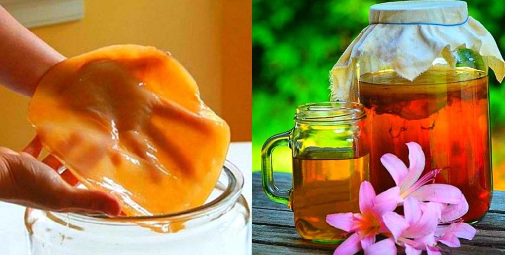 Как приготовить грибной чай?