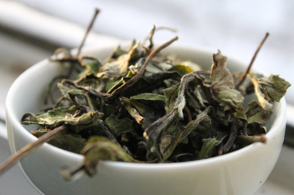 Какой сорт белого чая выбрать?