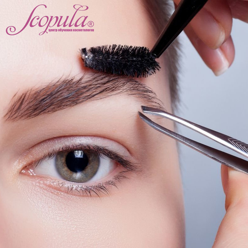 Как покрасить брови хной в домашних условиях?